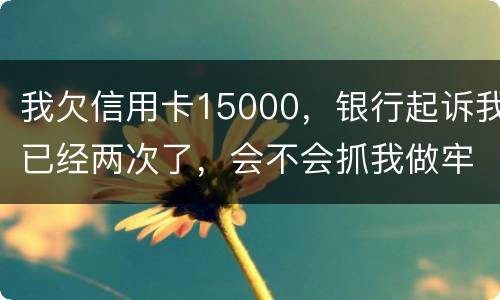 我欠信用卡15000，银行起诉我已经两次了，会不会抓我做牢