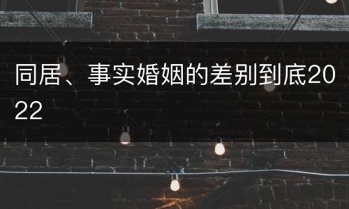 同居、事实婚姻的差别到底2022