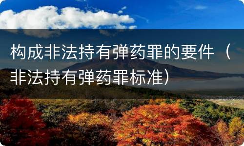 构成非法持有弹药罪的要件（非法持有弹药罪标准）