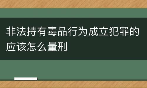 非法持有毒品行为成立犯罪的应该怎么量刑