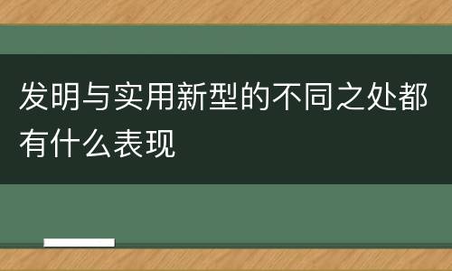 发明与实用新型的不同之处都有什么表现
