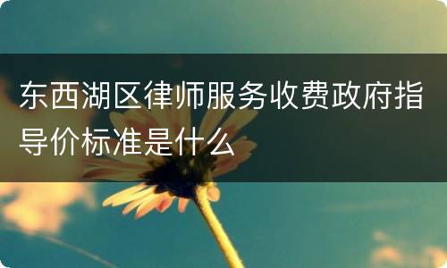 东西湖区律师服务收费政府指导价标准是什么