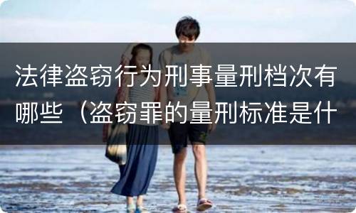法律盗窃行为刑事量刑档次有哪些（盗窃罪的量刑标准是什么）