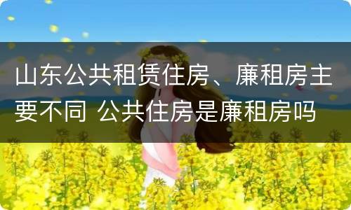 山东公共租赁住房、廉租房主要不同 公共住房是廉租房吗