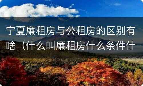 宁夏廉租房与公租房的区别有啥（什么叫廉租房什么条件什么叫公租房）