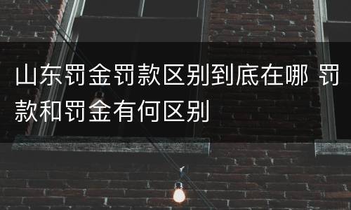 山东罚金罚款区别到底在哪 罚款和罚金有何区别