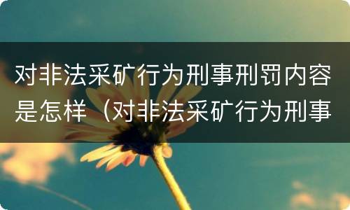 对非法采矿行为刑事刑罚内容是怎样（对非法采矿行为刑事刑罚内容是怎样认定的）