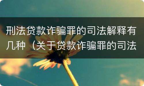 刑法贷款诈骗罪的司法解释有几种（关于贷款诈骗罪的司法解释）