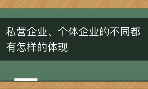 私营企业、个体企业的不同都有怎样的体现
