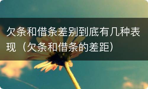 欠条和借条差别到底有几种表现（欠条和借条的差距）