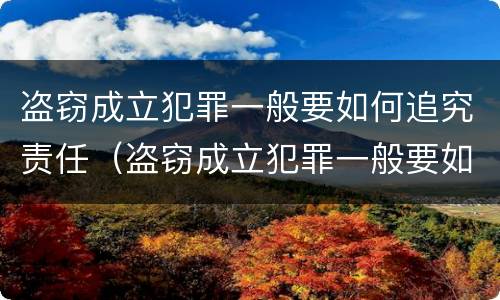 盗窃成立犯罪一般要如何追究责任（盗窃成立犯罪一般要如何追究责任和义务）