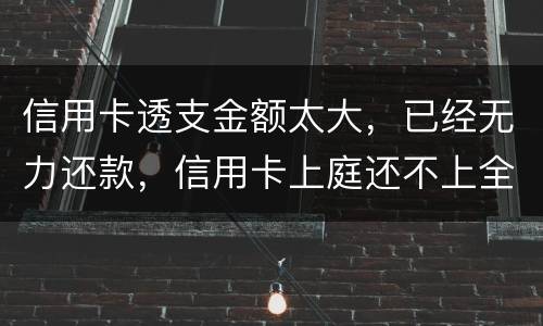 信用卡透支金额太大，已经无力还款，信用卡上庭还不上全款怎么办