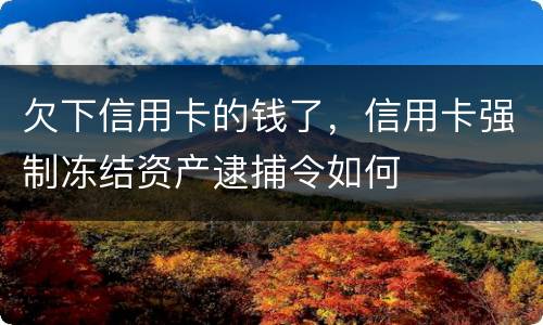 欠下信用卡的钱了，信用卡强制冻结资产逮捕令如何