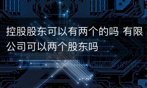 控股股东可以有两个的吗 有限公司可以两个股东吗