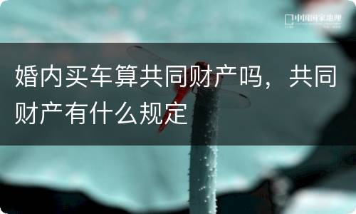 婚内买车算共同财产吗，共同财产有什么规定