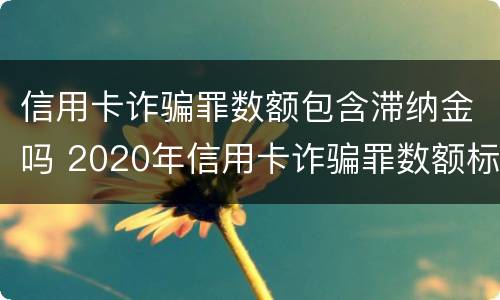 信用卡诈骗罪数额包含滞纳金吗 2020年信用卡诈骗罪数额标准