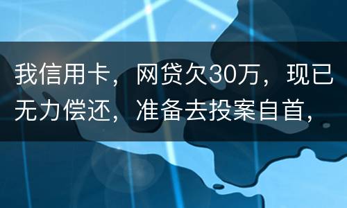 我信用卡，网贷欠30万，现已无力偿还，准备去投案自首，大概会判多少年