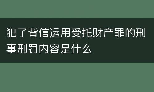 犯了背信运用受托财产罪的刑事刑罚内容是什么