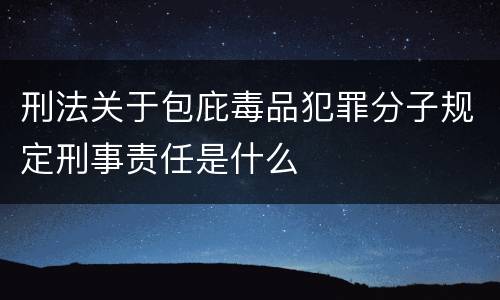 刑法关于包庇毒品犯罪分子规定刑事责任是什么
