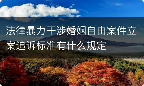 法律暴力干涉婚姻自由案件立案追诉标准有什么规定