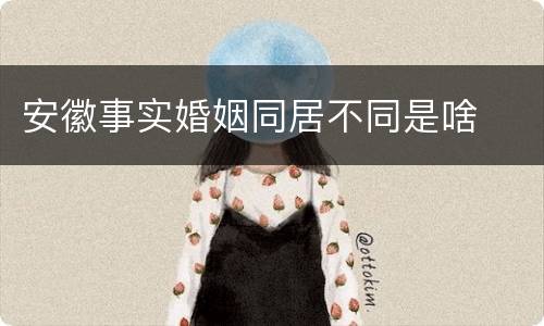安徽事实婚姻同居不同是啥