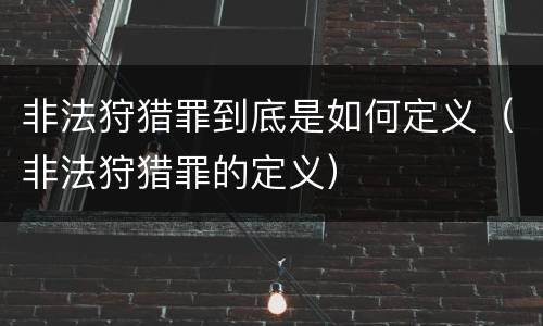 非法狩猎罪到底是如何定义（非法狩猎罪的定义）