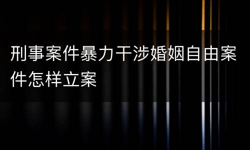 刑事案件暴力干涉婚姻自由案件怎样立案