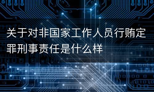 关于对非国家工作人员行贿定罪刑事责任是什么样