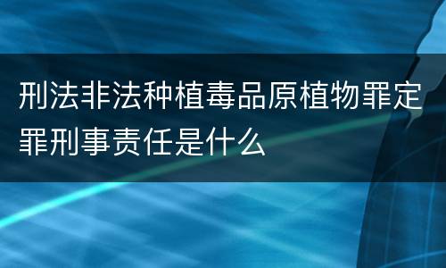 刑法非法种植毒品原植物罪定罪刑事责任是什么