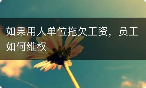 如果用人单位拖欠工资，员工如何维权