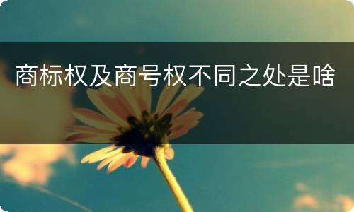 商标权及商号权不同之处是啥