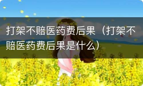 打架不赔医药费后果（打架不赔医药费后果是什么）