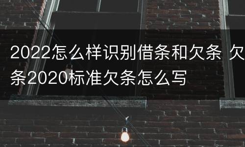 2022怎么样识别借条和欠条 欠条2020标准欠条怎么写