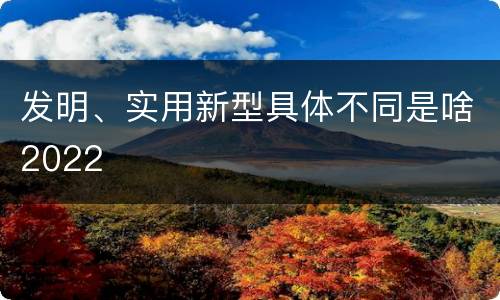 发明、实用新型具体不同是啥2022