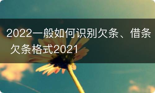 2022一般如何识别欠条、借条 欠条格式2021