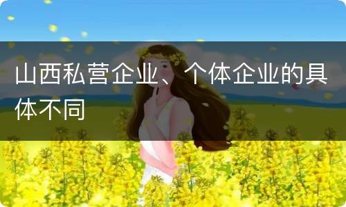 山西私营企业、个体企业的具体不同