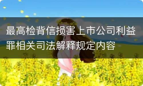 最高检背信损害上市公司利益罪相关司法解释规定内容