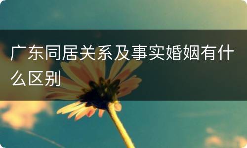 广东同居关系及事实婚姻有什么区别