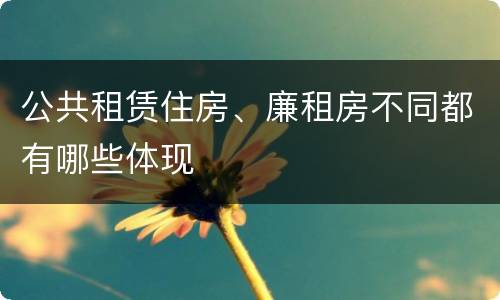 公共租赁住房、廉租房不同都有哪些体现