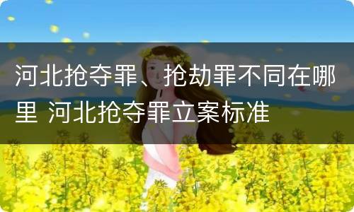 河北抢夺罪、抢劫罪不同在哪里 河北抢夺罪立案标准