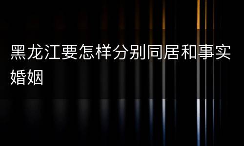 黑龙江要怎样分别同居和事实婚姻