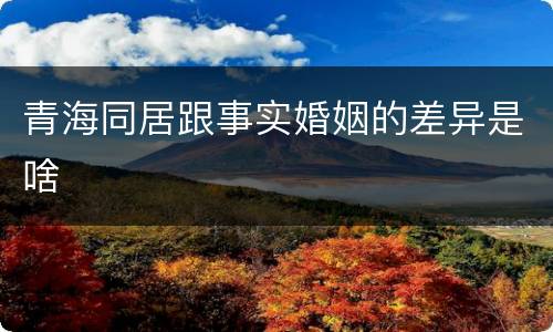 青海同居跟事实婚姻的差异是啥