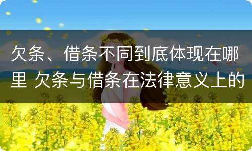 欠条、借条不同到底体现在哪里 欠条与借条在法律意义上的不同