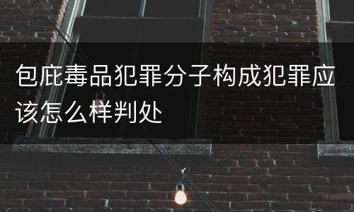 包庇毒品犯罪分子构成犯罪应该怎么样判处