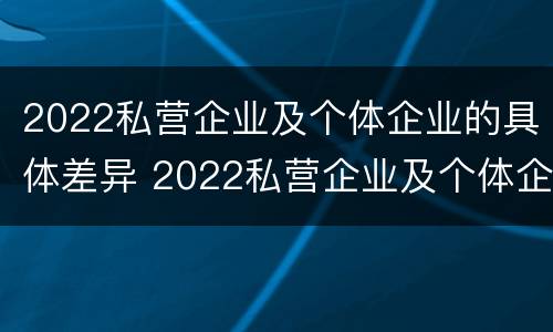 2022私营企业及个体企业的具体差异 2022私营企业及个体企业的具体差异分析