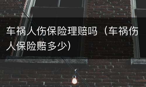 车祸人伤保险理赔吗（车祸伤人保险赔多少）