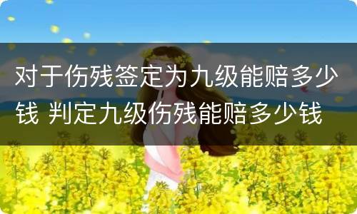 对于伤残签定为九级能赔多少钱 判定九级伤残能赔多少钱