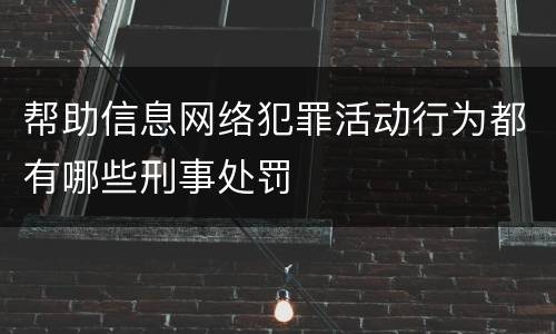 帮助信息网络犯罪活动行为都有哪些刑事处罚