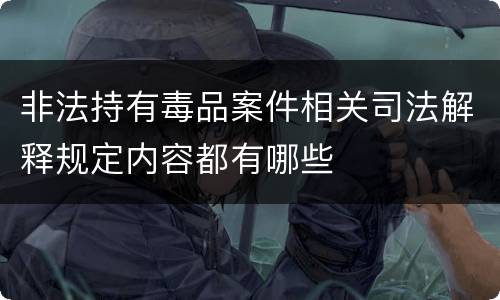 非法持有毒品案件相关司法解释规定内容都有哪些