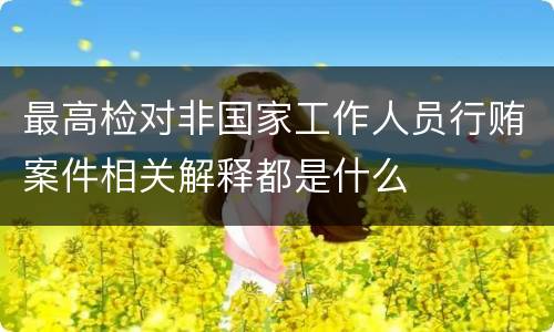 最高检对非国家工作人员行贿案件相关解释都是什么